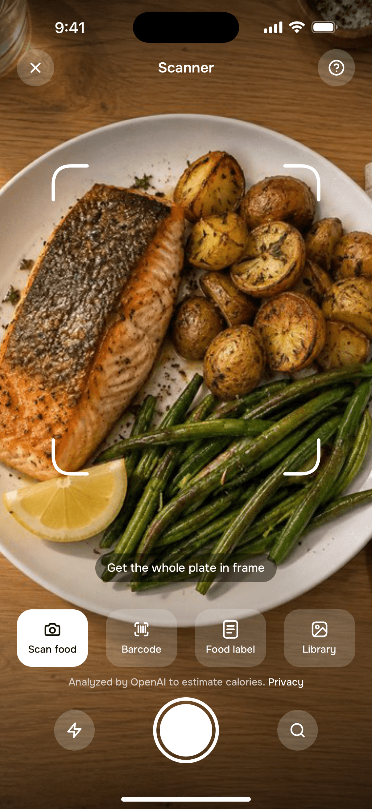 Tally photo scanner framing a plate of salmon, baby potatoes and green beans, analyzed by OpenAI to estimate calories